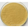 Freeze-Dried Organic Pumpkin Vegetable Extract Powder